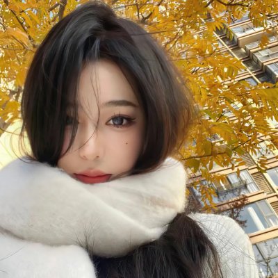 叶问外传：张天志国语